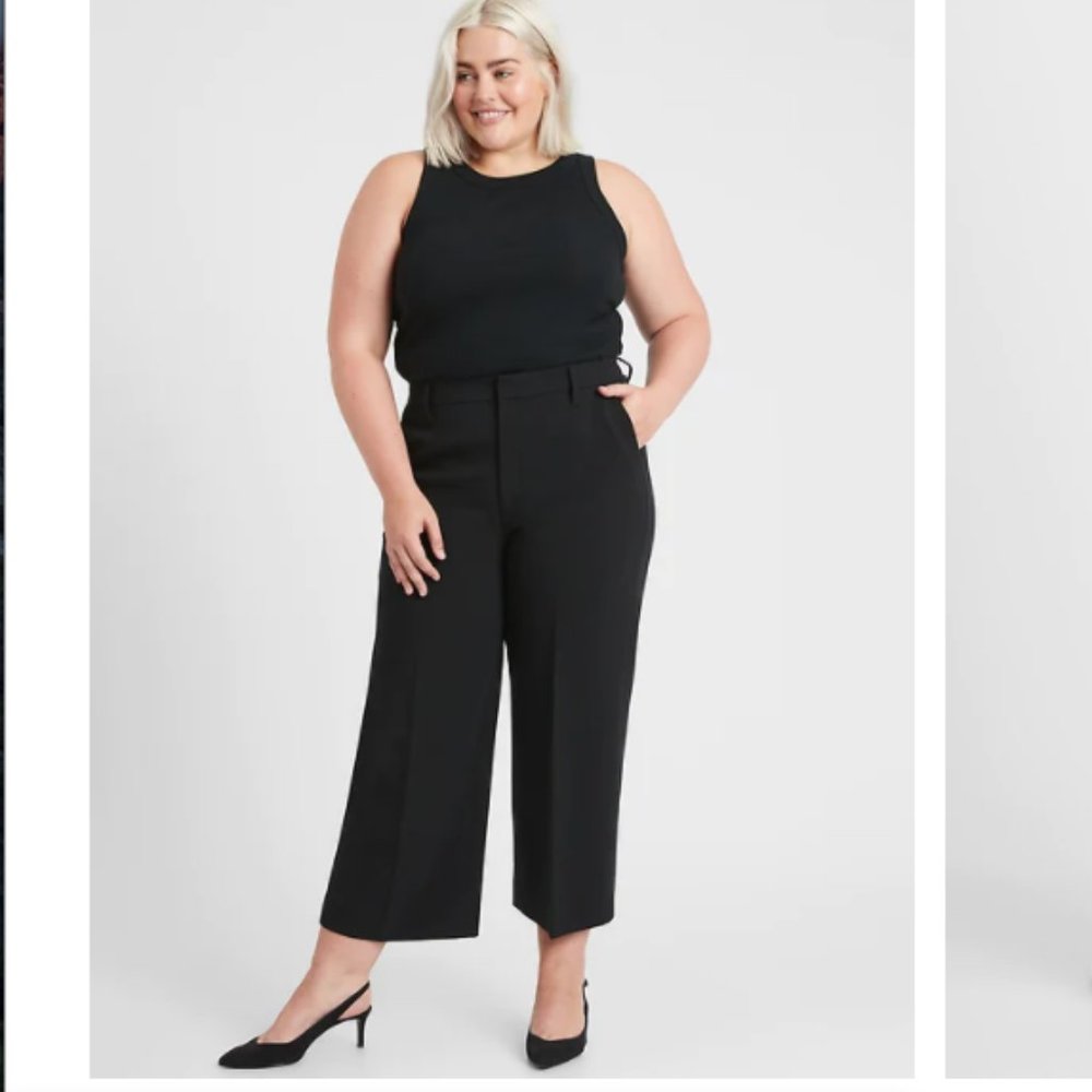 Banana Republic Slim Wide-Leg Crop